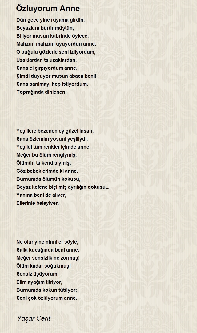 Yaşar Cerit