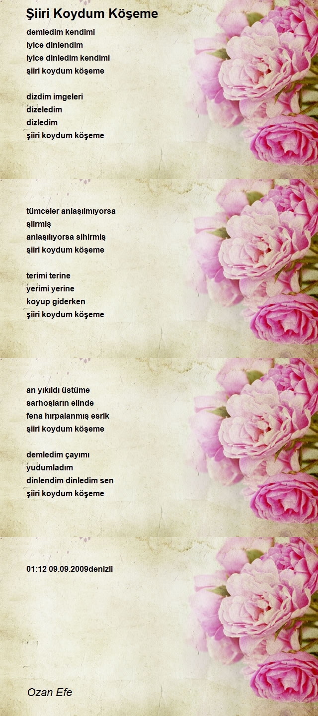 Ozan Efe
