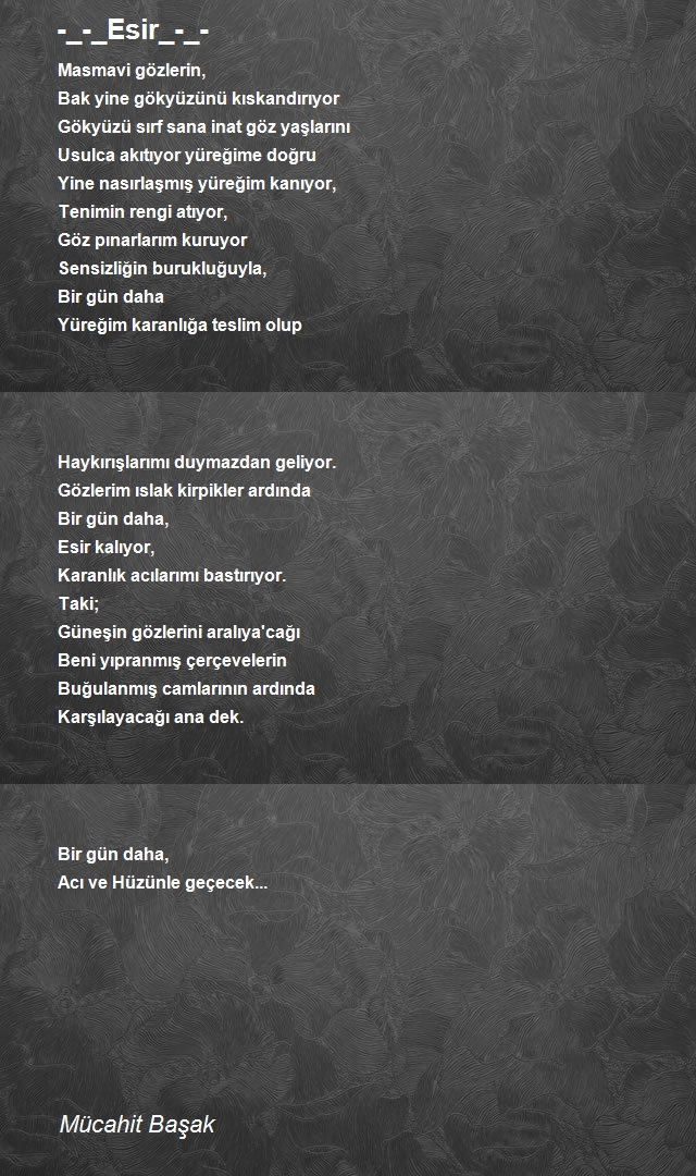 Mücahit Başak
