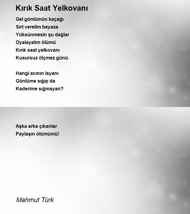 Mahmut Türk