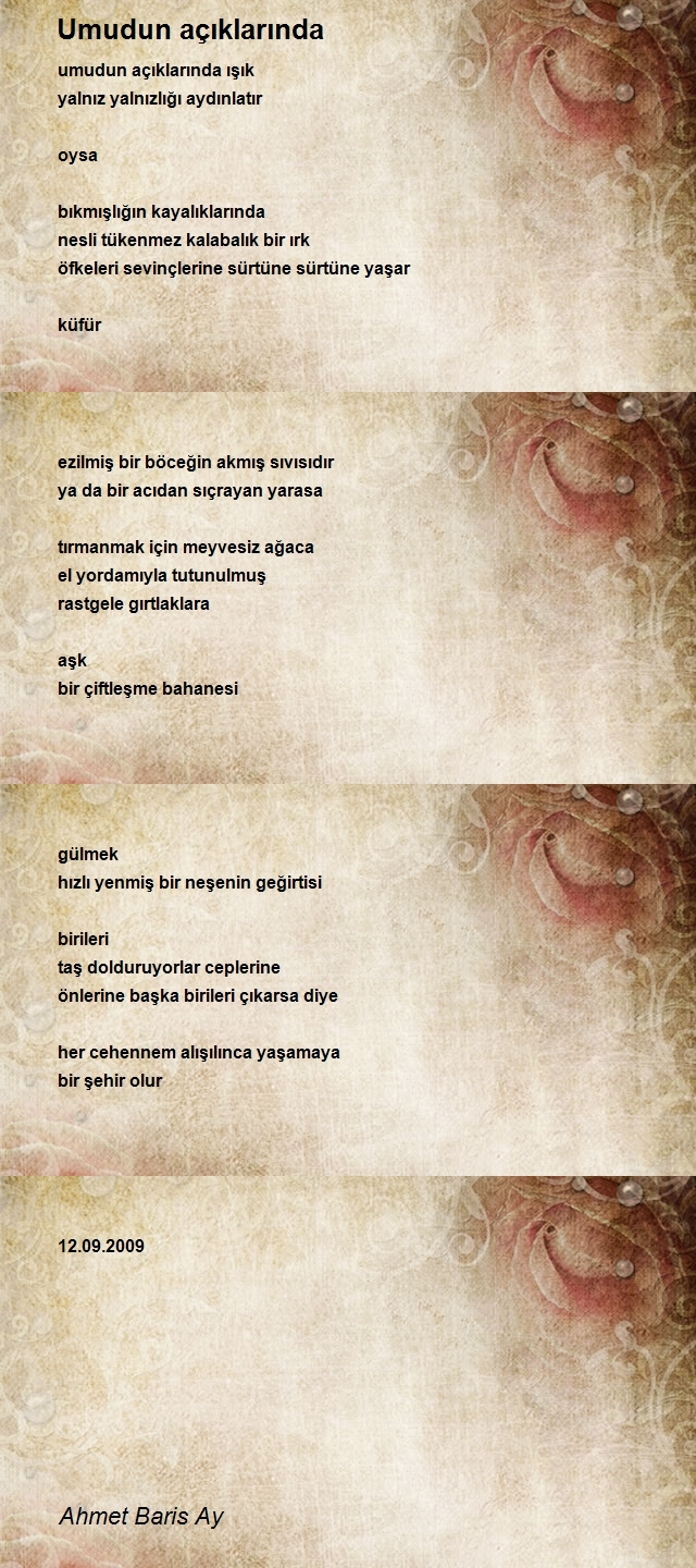 Ahmet Baris Ay