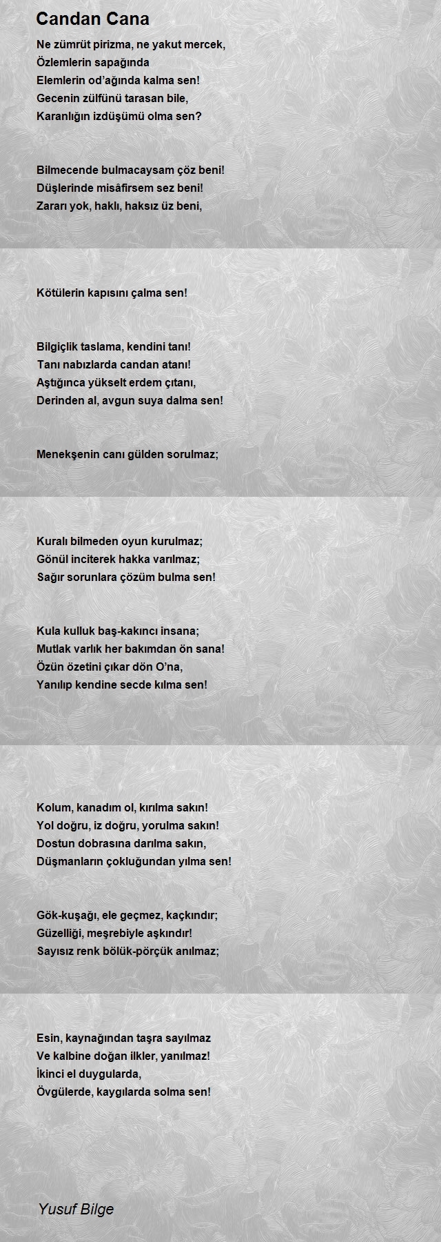 Yusuf Bilge