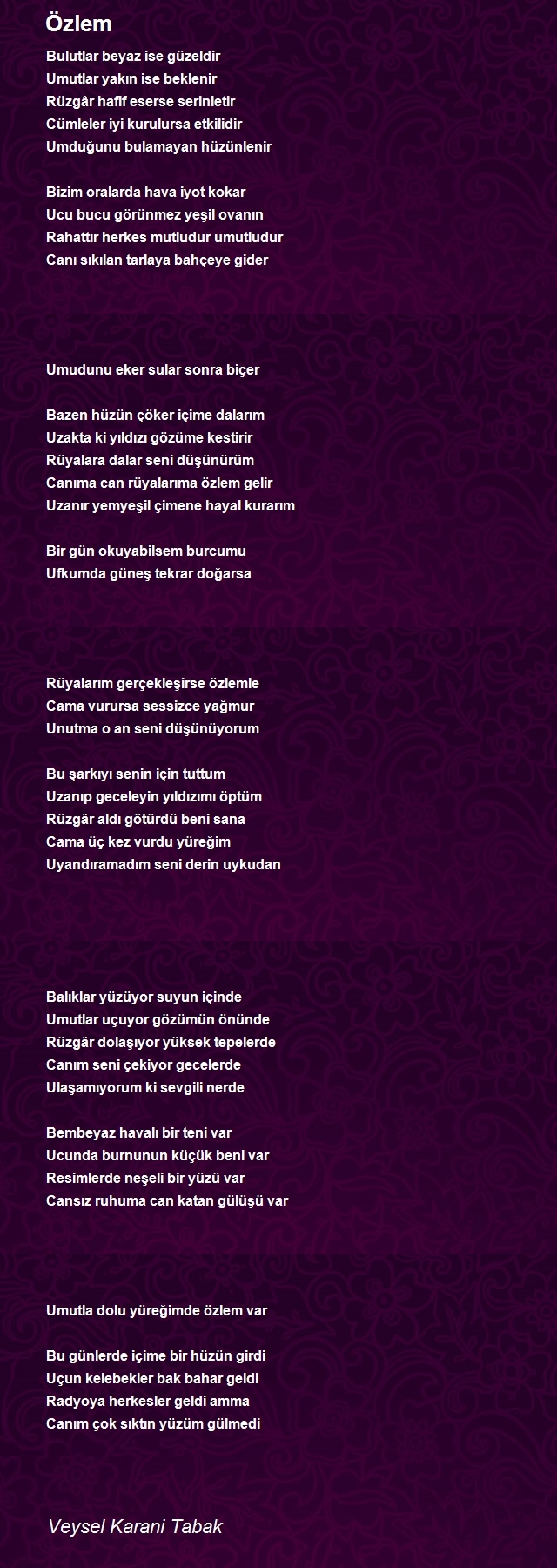 Veysel Karani Tabak