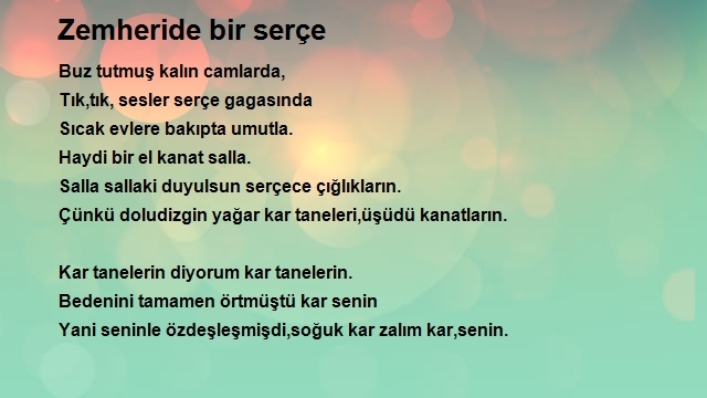 Salman Cigdem