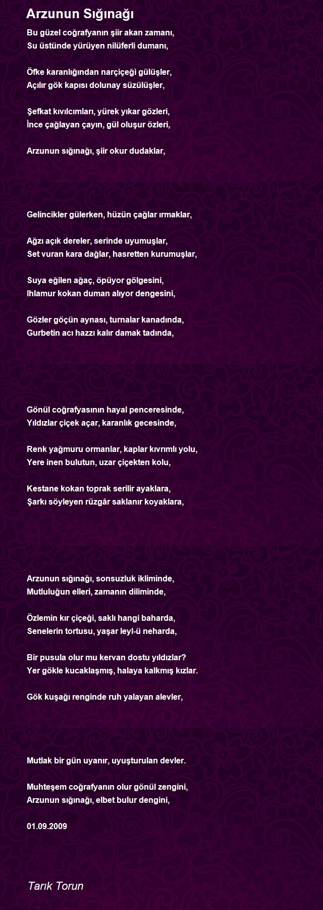 Tarık Torun