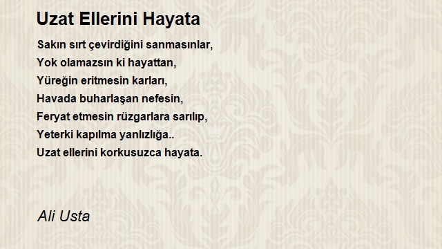 Ali Usta
