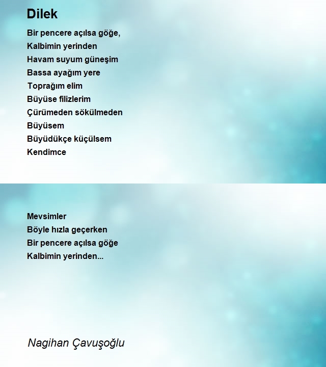 Nagihan Çavuşoğlu
