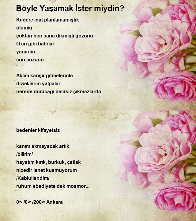 Taner Korkmaz