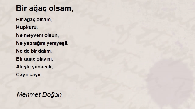 Mehmet Doğan