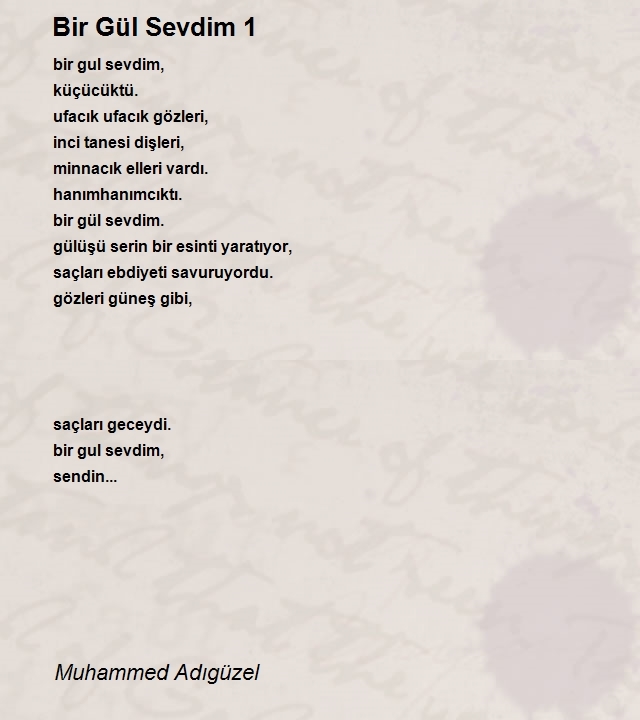 Muhammed Adıgüzel