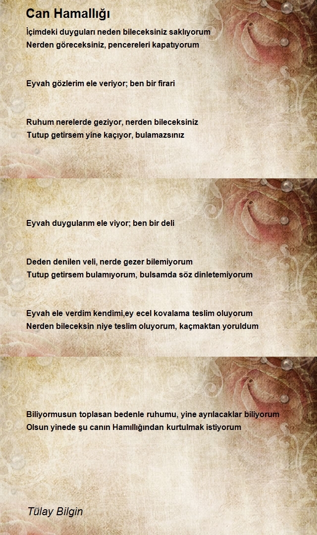 Tülay Bilgin