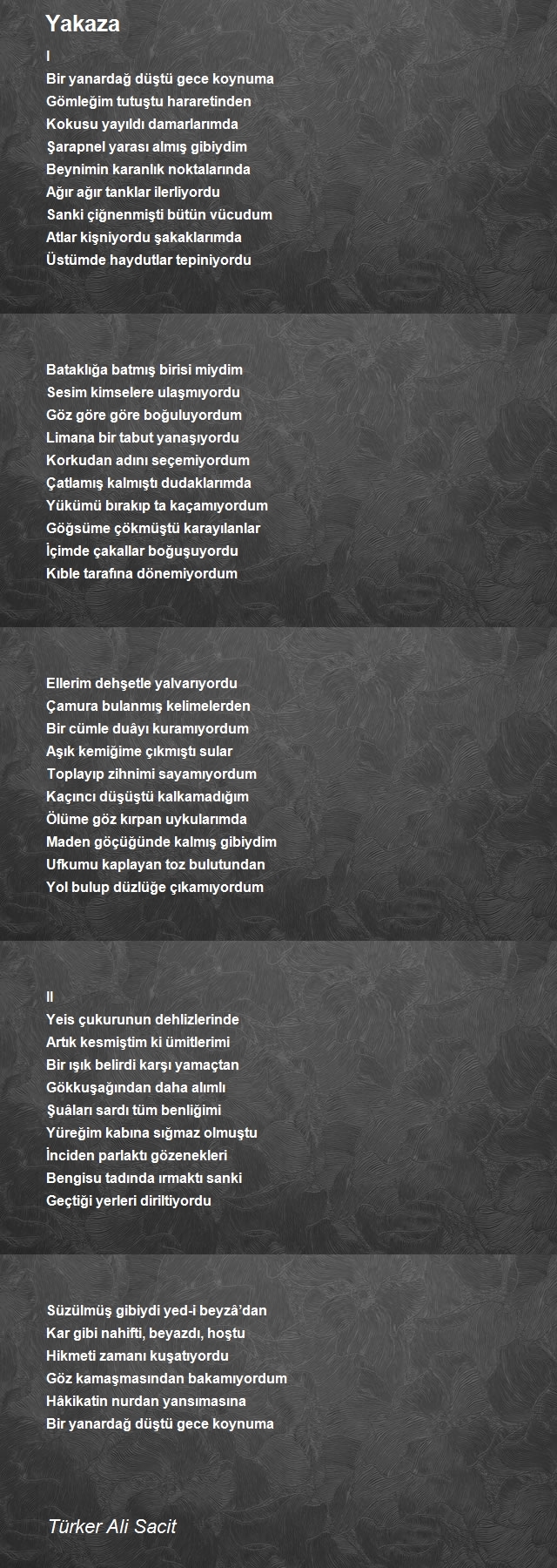 Türker Ali Sacit