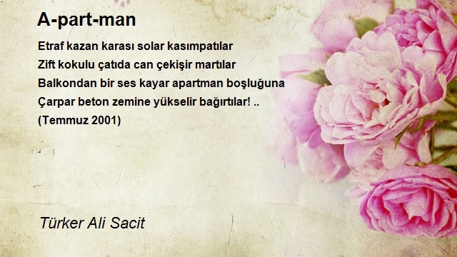 Türker Ali Sacit