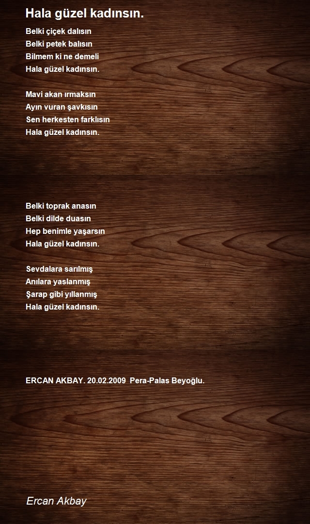 Ercan Akbay