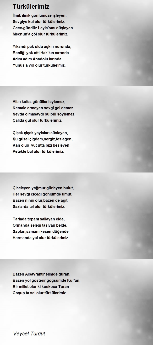 Veysel Turgut