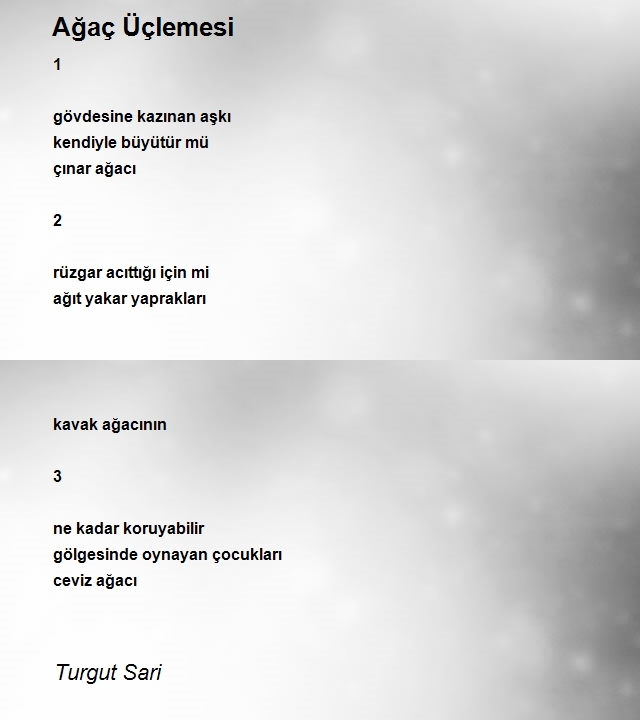 Turgut Sari