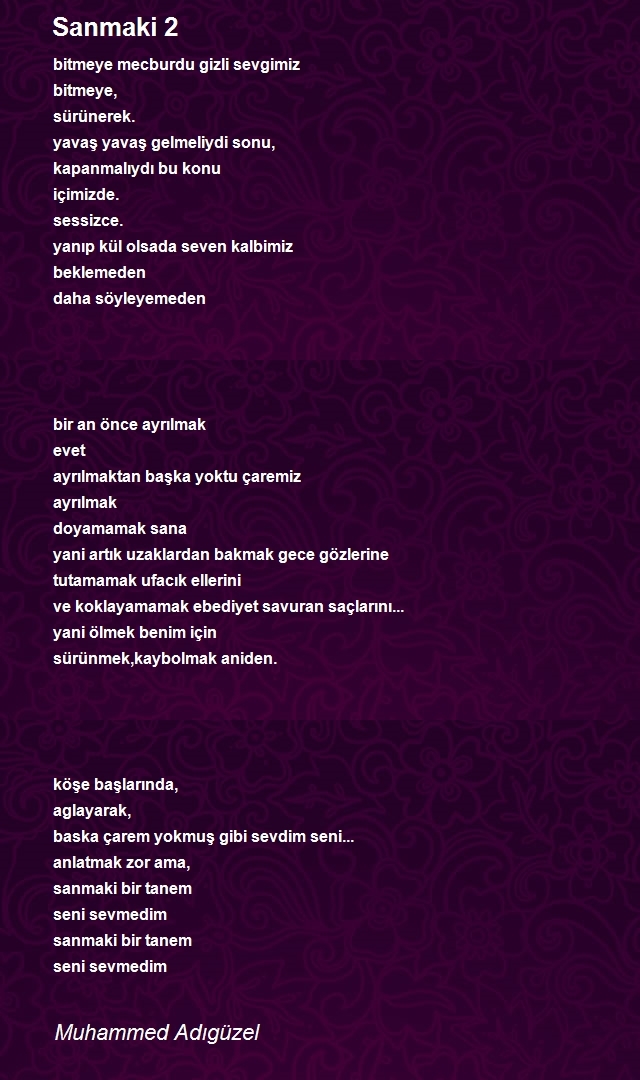 Muhammed Adıgüzel
