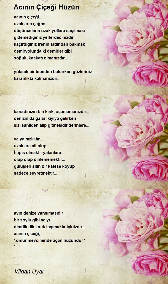 Vildan Uyar