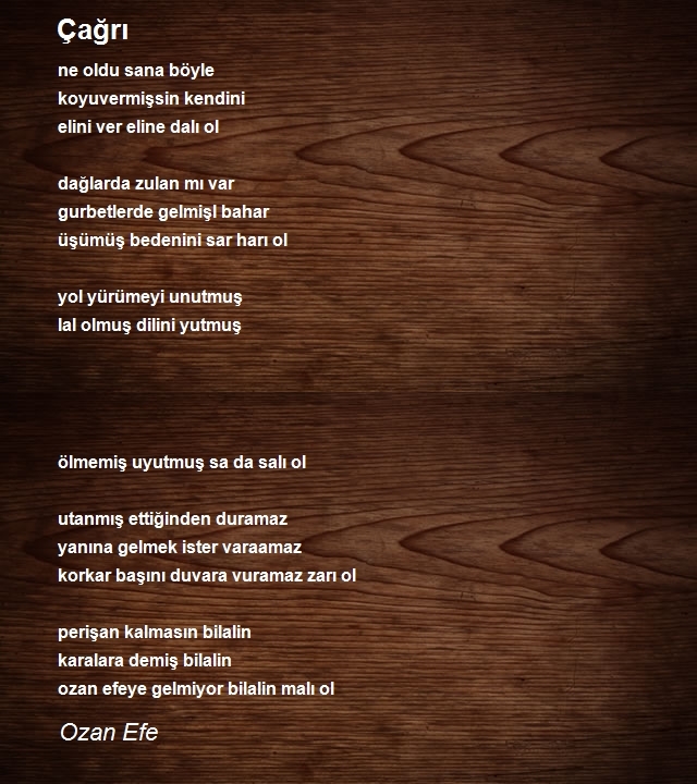 Ozan Efe