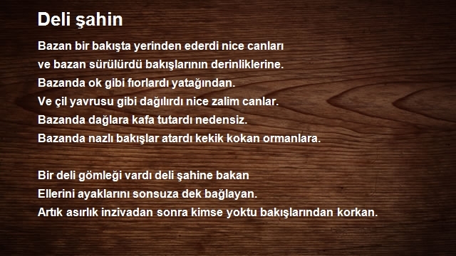Salman Cigdem