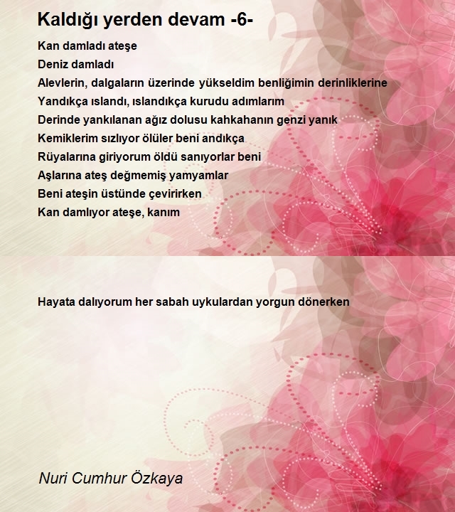 Nuri Cumhur Özkaya
