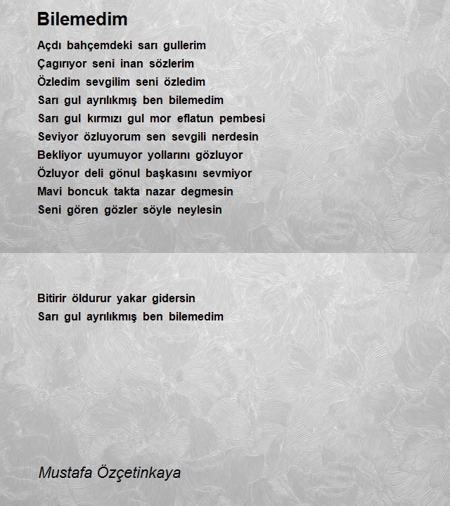 Mustafa Özçetinkaya