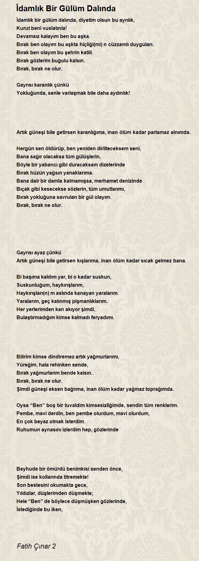 Fatih Çınar 2