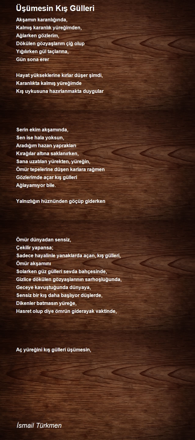 İsmail Türkmen