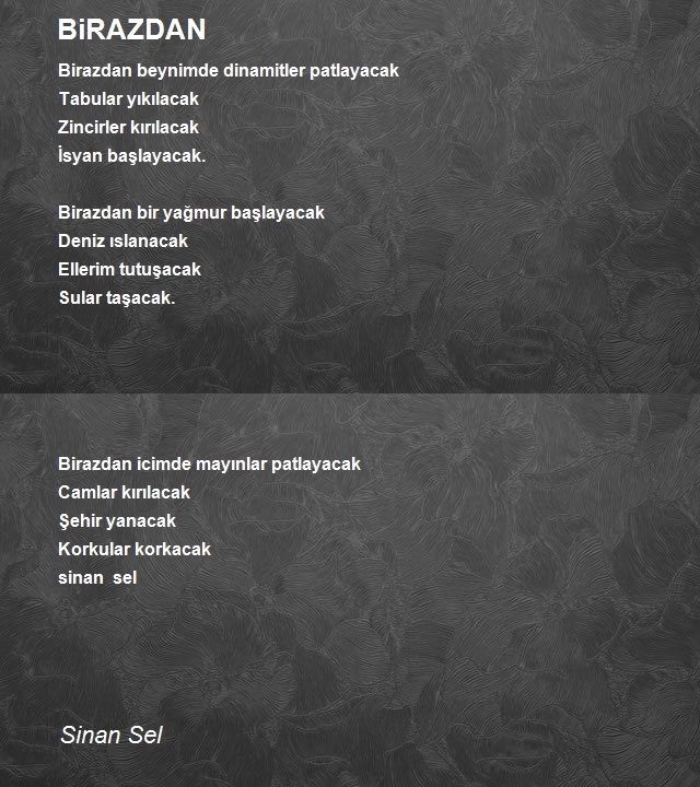 Sinan Sel