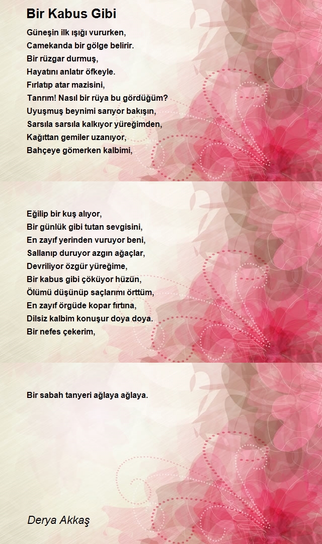 Derya Akkaş