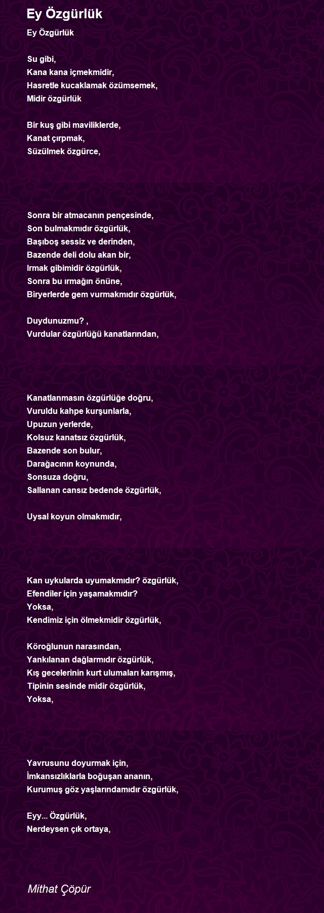 Mithat Çöpür
