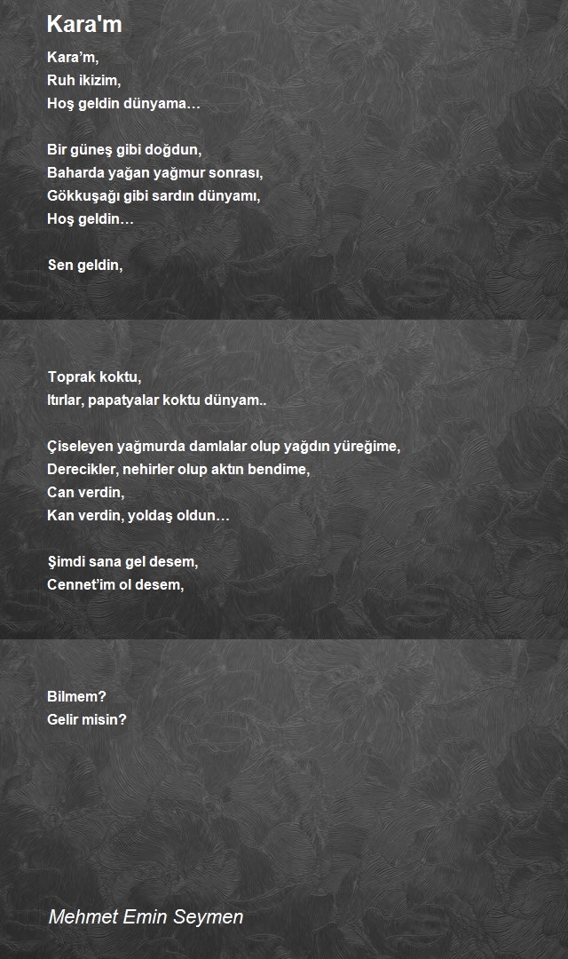 Mehmet Emin Seymen