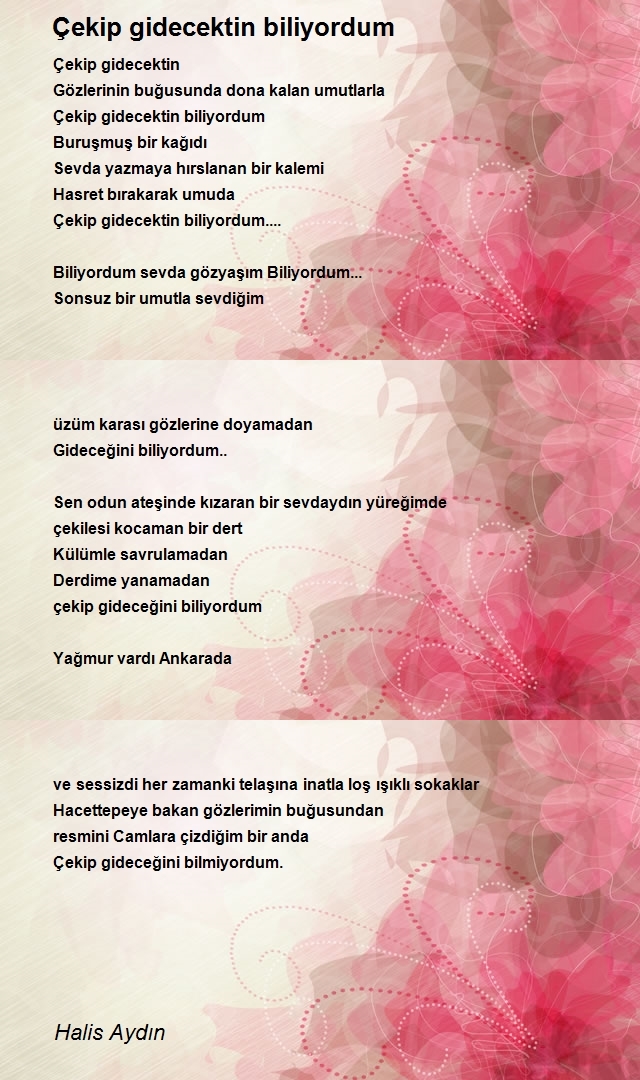 Halis Aydın