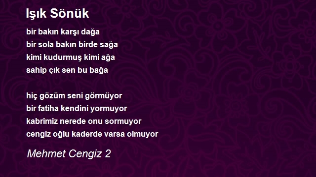 Mehmet Cengiz 2