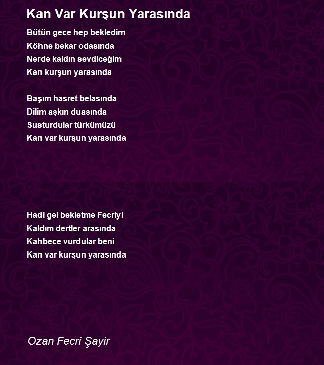 Ozan Fecri Şayir