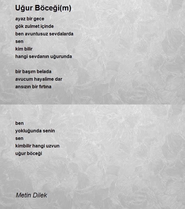 Metin Dilek