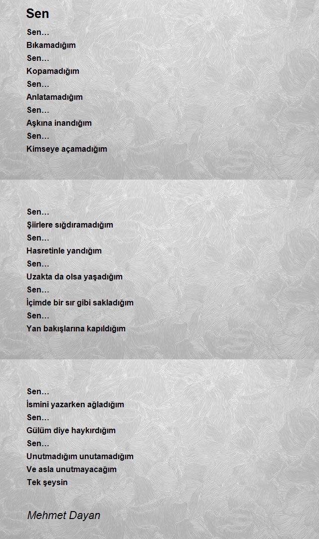 Mehmet Dayan