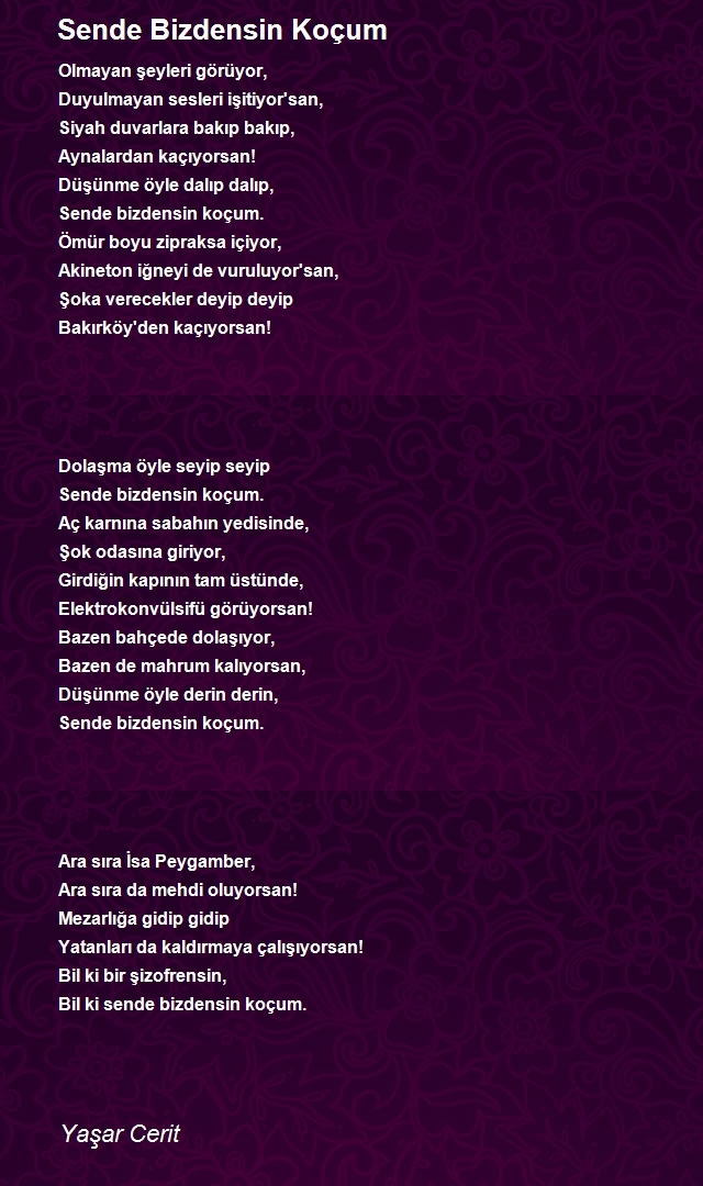 Yaşar Cerit