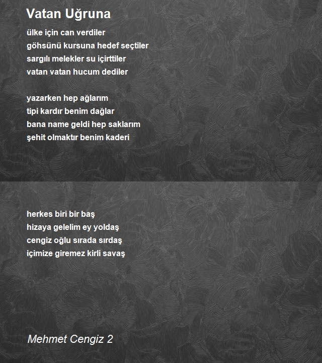 Mehmet Cengiz 2
