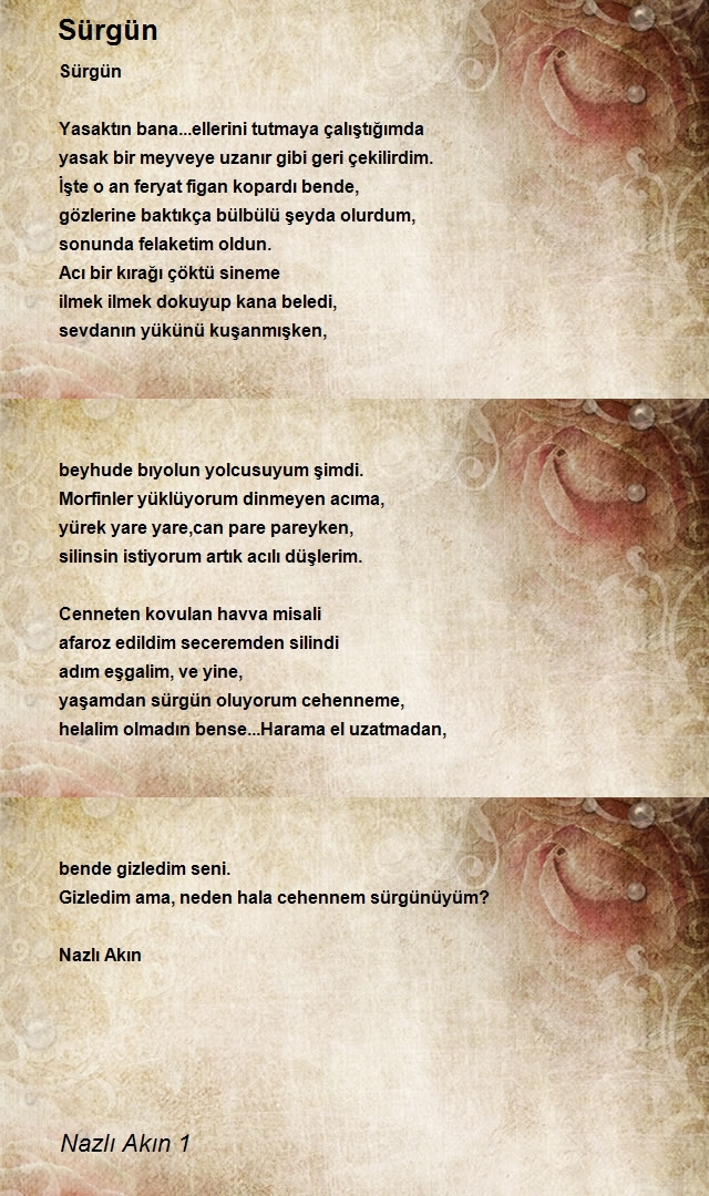 Nazlı Akın 1