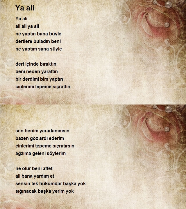 Mehmet Gündoğdu