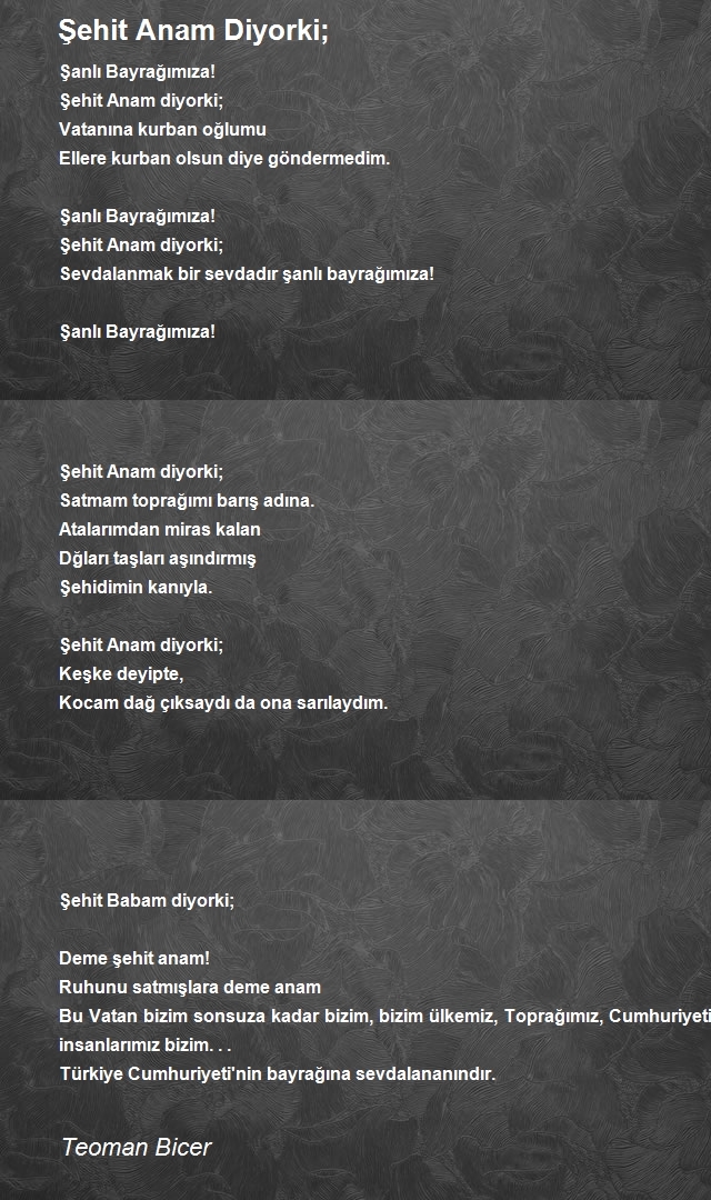Teoman Bicer