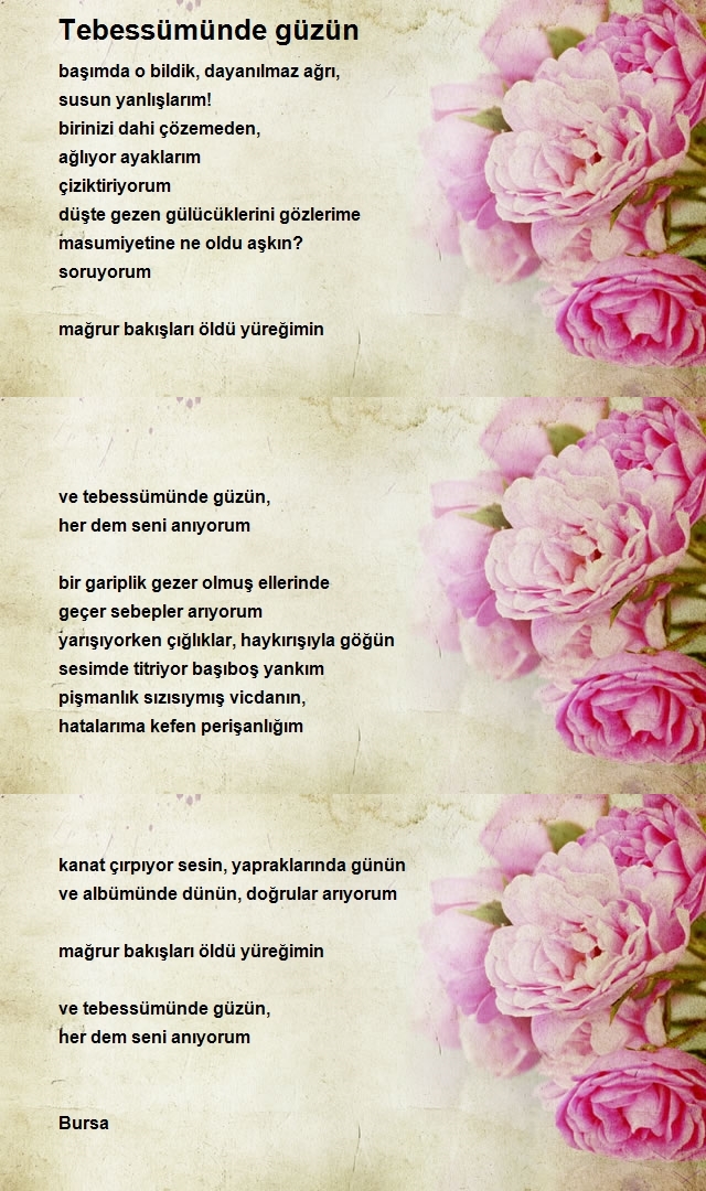 Abdil Burhaneddin Akkaya