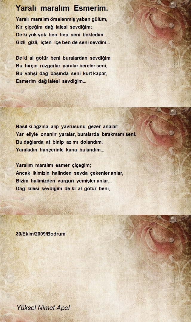 Yüksel Nimet Apel