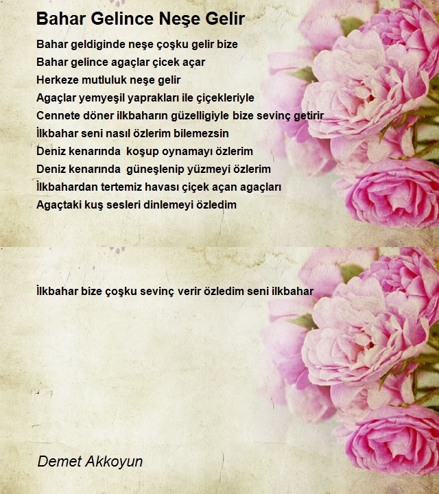 Demet Akkoyun
