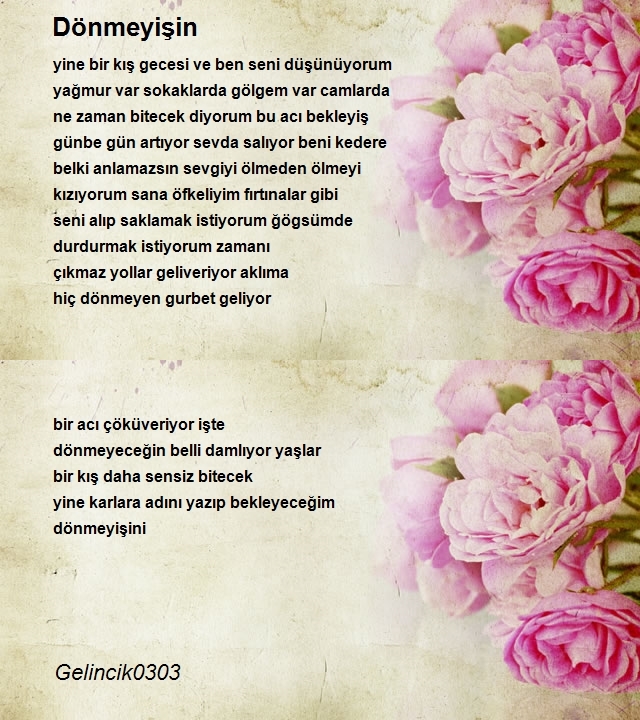 Şair Gelincik0303