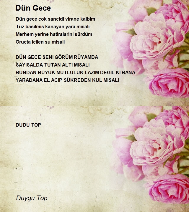 Duygu Top