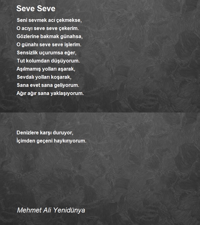 Mehmet Ali Yenidünya
