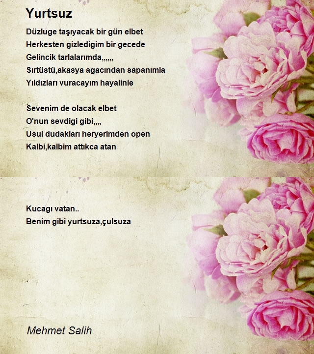 Mehmet Salih