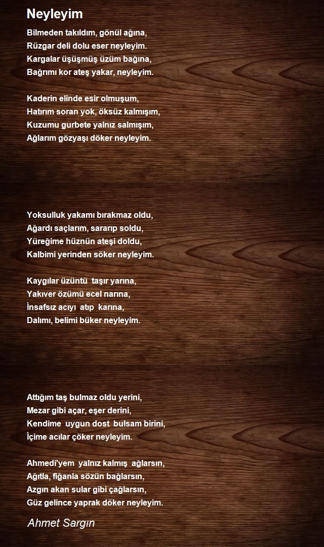 Ahmet Sargın